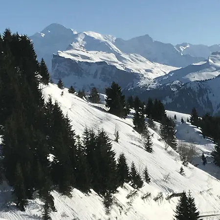 Les Chardons Argentes 2 아파트